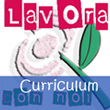 il girotondo curriculum, lavora con noi