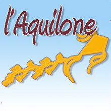 il girotondo, associazione di volontariato
